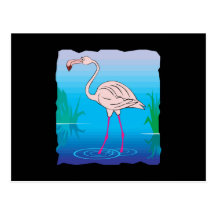 pink flamingo in water postcards