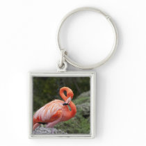 Pink Flamingo Key Chains