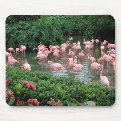Pink Flamingo Mousepad