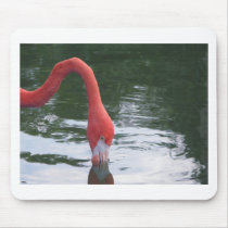 Pink Flamingo Mousepads