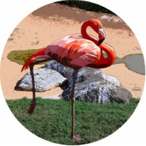 Pink Flamingo photo sculptures