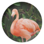 Pink Flamingo Plate