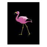 Pink Flamingo Post Card