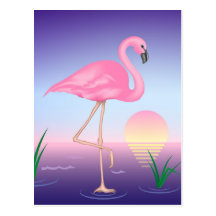 Pink Flamingo Post Card