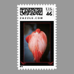 Pink Flamingo Postage stamps