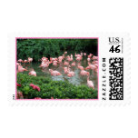 Pink Flamingo Postage