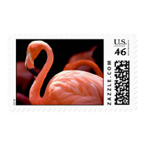 Pink Flamingo Postage