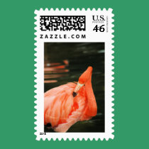 Pink Flamingo stamps
