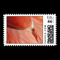 Pink Flamingo Postage Stamp