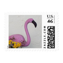 Pink Flamingo Postage Stamps