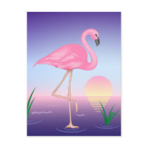 Pink Flamingo postcards by Lidusik Pink Flamingo postcards