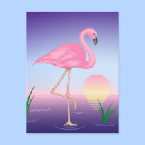 Pink Flamingo postcards