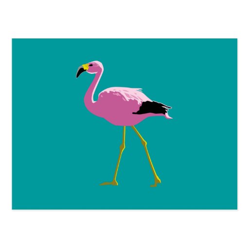Pink Flamingo Postcards
