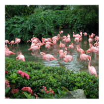 Pink Flamingo Poster posters by dlgray Pink Flamingo Poster posters