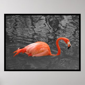 Pink Flamingo print