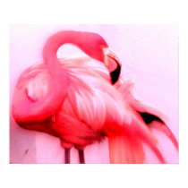 Pink Flamingo posters by rdwnggrl Pink Flamingo posters