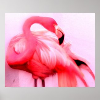 Pink Flamingo print