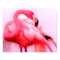 Pink Flamingo posters by rdwnggrl Pink Flamingo posters