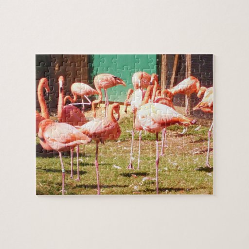 Pink Flamingo Puzzle | Zazzle