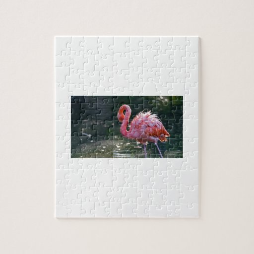 Pink Flamingo Jigsaw Puzzle