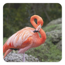 Pink Flamingo Square Stickers