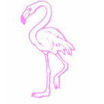 pink flamingo t-shirts