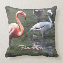Pink Flamingos American MoJo Pillows pillows