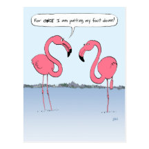 Pink Flamingos Cartoon Postcards