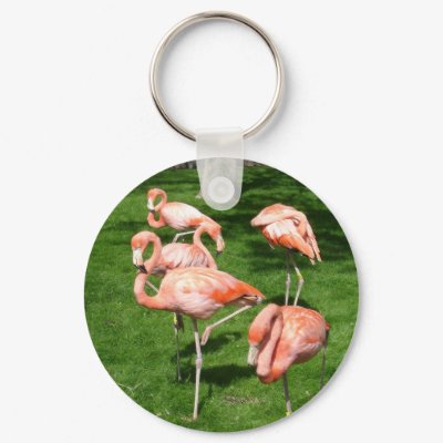 Pink Flamingos Key Chains by jdowdell