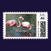 Pink Flamingos Postage stamps