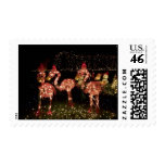 Pink Flamingo's Postage Stamps