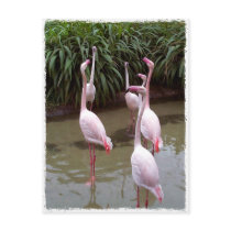Pink Flamingos postcards