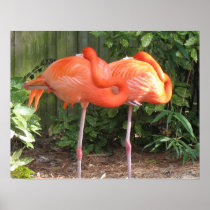 Pink Flamingos Poster Print posters