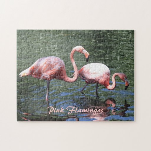 Pink Flamingos Puzzle | Zazzle