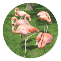 Pink Flamingos stickers by jdowdell Pink Flamingos stickers