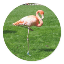 Pink Flamingos stickers by jdowdell Pink Flamingos stickers