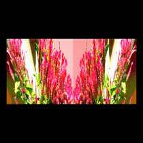 Pink Floral Arrangements photo cards by doonagiri Pink Floral Arrangements photo cards