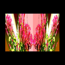Pink Floral Arrangements t-shirts by doonagiri Pink Floral Arrangements t-shirts