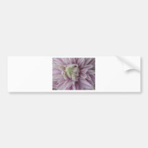 Pink Floral Beauty Bumper Sticker