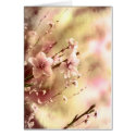 Pink Floral Card