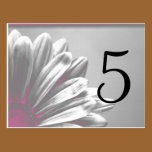 Pink Floral Highlights Table Number postcards