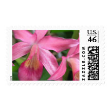 Pink Floral Medium Size Postage Stamp