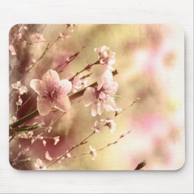 Pink Floral Mousepad by ACornidez