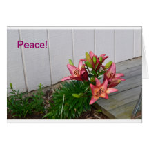 Pink floral notecard