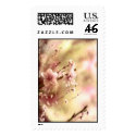 Pink Floral Stamps