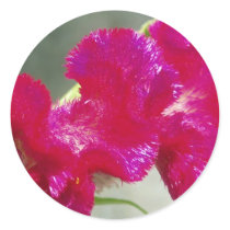 Pink Floral Sticker by emele1 Pink Floral Sticker