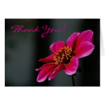 Pink Floral Thank You Card