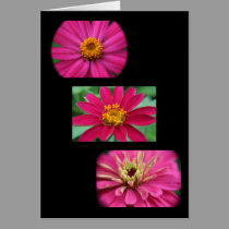 Pink Floral Trio cards