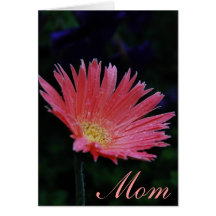 Pink Flower 02, Mom, Card