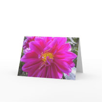 Pink Flower Blank Card